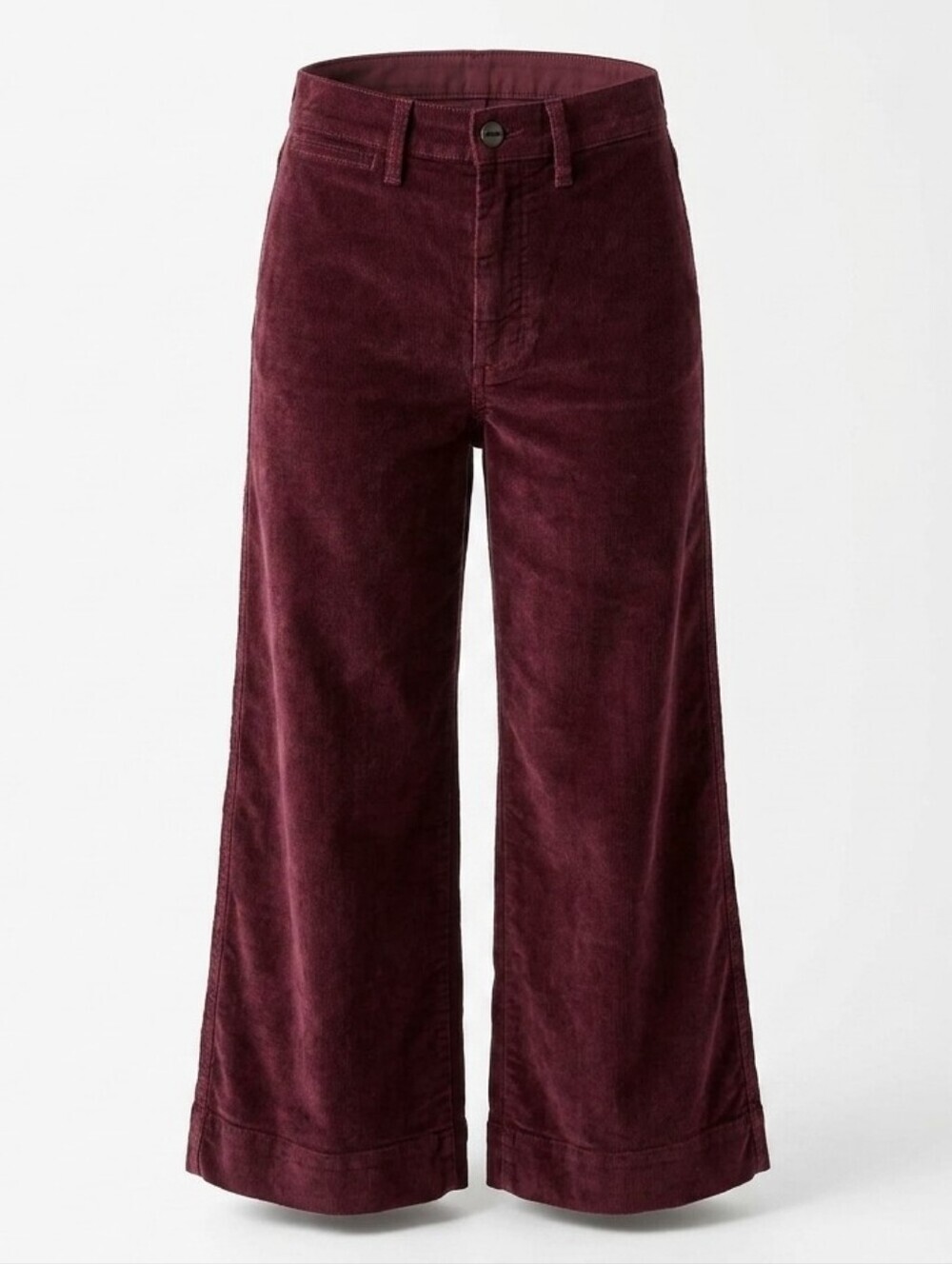 Madewell Emmet Wide Leg Crop Pants In Velveteen Sz.25 High Rise Retro Whimsy